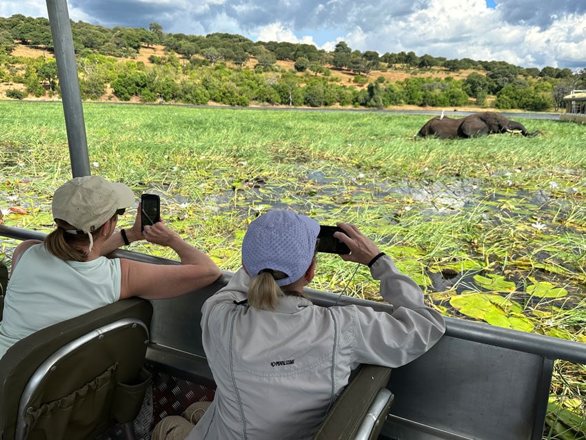 Water safaris provided ways to see the wildlife in a different way, such as this grazing elephant. Photo by Janna Graber 