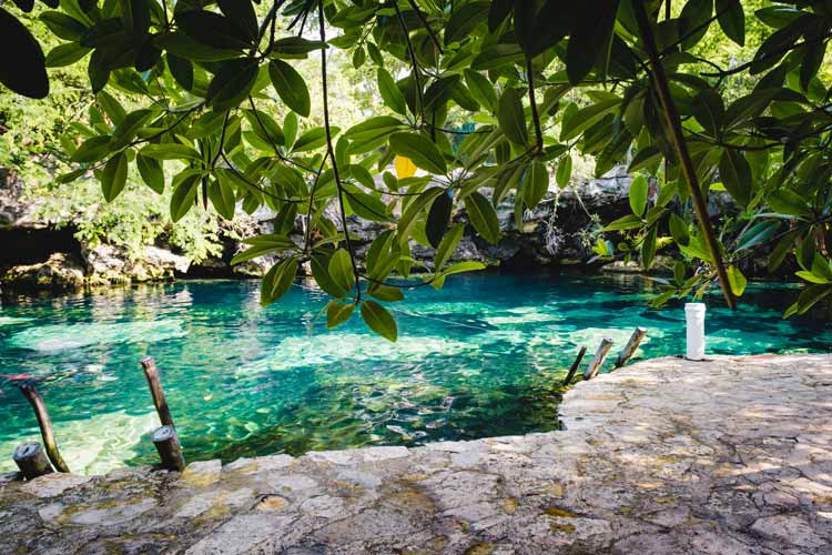 Beautiful Mexican Cenote Cristalino with turquoise water and jungle plants