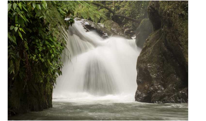 Waterfall in the Cloud Forest in Ecuador. Photo by Janna Graber