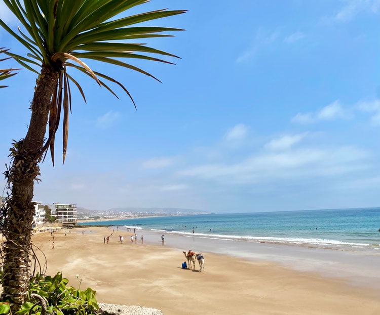 Camellos en la playa de Agadir