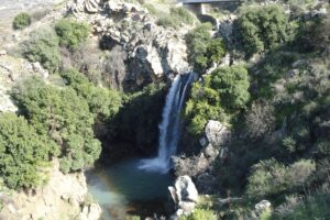 Golan Heights waterfall. Photo by Sabina Lohr