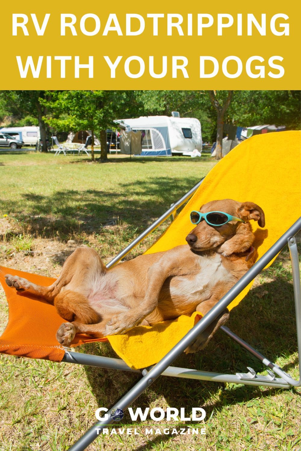 Lessons learned from RV roadtripping in Australia with two big dogs: size matters, park in the shade, find dog-friendly locations and more. #rvroadtrip #roadtripaustralia #roadtripwithdogs