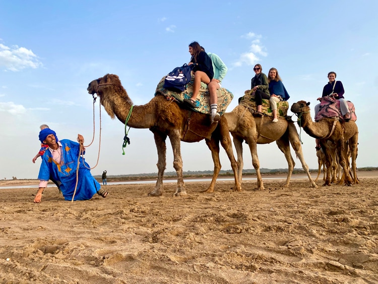 Sunset desert camel ride