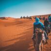 Camels in Morocco