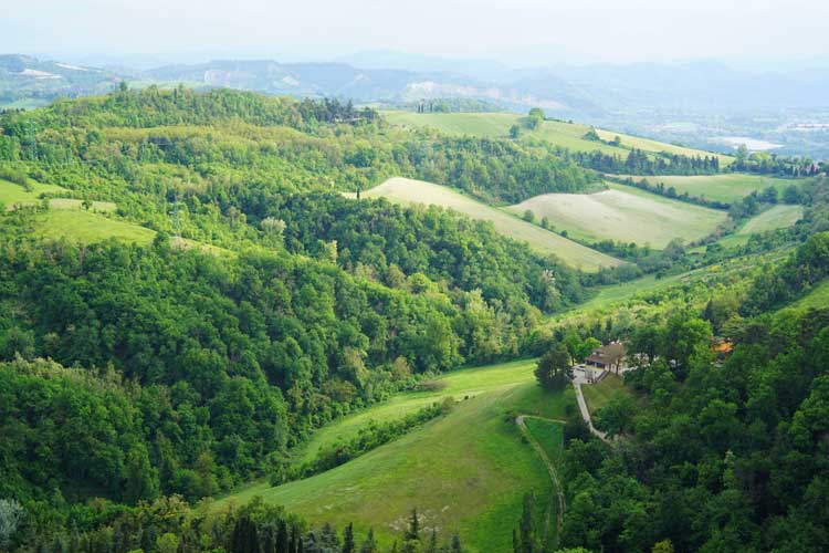 View from San Luca Monastery