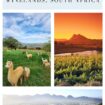 Discover Paarl in cape Winelands, South Africa