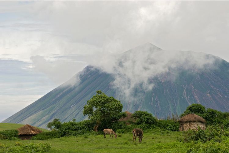 Maasai village in front of Ol Doinyo Lengai