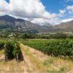 Paarl, South Africa