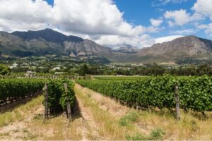 Paarl, A Beautiful Town in South Africa’s Cape Winelands