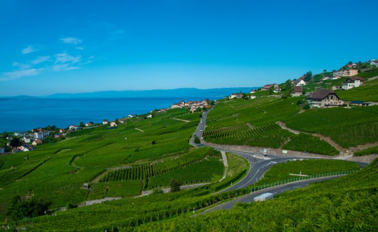 The Lavaux Vineyards near Lausanne. 