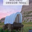 The Oregon Trail