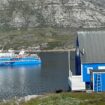 The ship in Sarfannguit. Photo by Debbie Stone