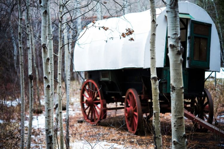 Antique Oregon Trail Wagon