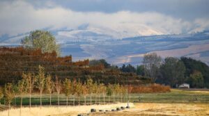 Walla Walla, Washington