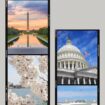 Washington D.C. Travel Guide