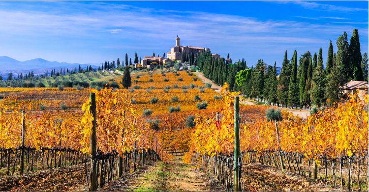 Autumn scenery. countryside of Tuscany. Golden vineyards and castle Castello di Banfi. Italy. By Freesurf