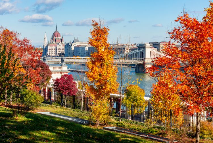 Budapest autumn cityscape with Hungarian parliament building and Chain bridge over Danube river, Hungary By Mistervlad