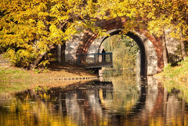 Sunny autumnal day at Lietzensee Park, locality of Charlottenburg, in Berlin, Germany. By Dante