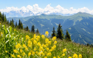 Austrian Alps near Leogang. Photo by iStock