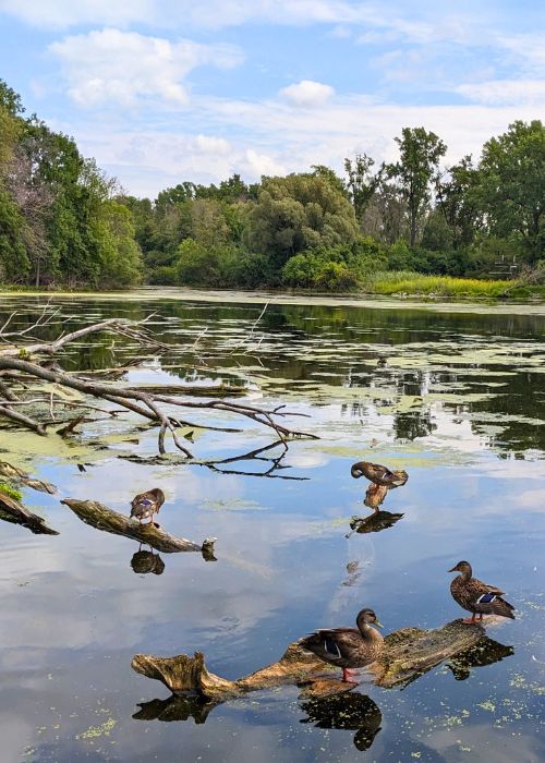 Bay Beach Wildlife Sanctuary