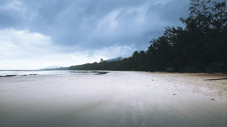 Cape Tribulation, An untouched paradise, alive with nature's rugged beauty. Photo by Karina Em