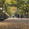 Central Park, New York, Pinterest. Photo by Andrea Belussi, Unsplash