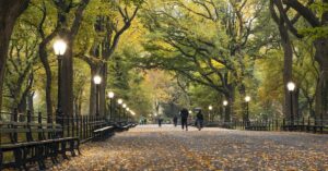 Central Park, New York. Photo by Andrea Belussi, Unsplash