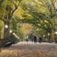Central Park, New York. Photo by Andrea Belussi, Unsplash