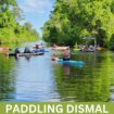 Dismal Swamp Canal Pin