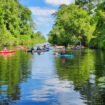 Dismal Swamp kayakers. Feature image by Carrie Dow