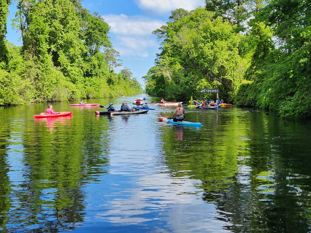Dismal Swamp kayakers. Feature image by Carrie Dow