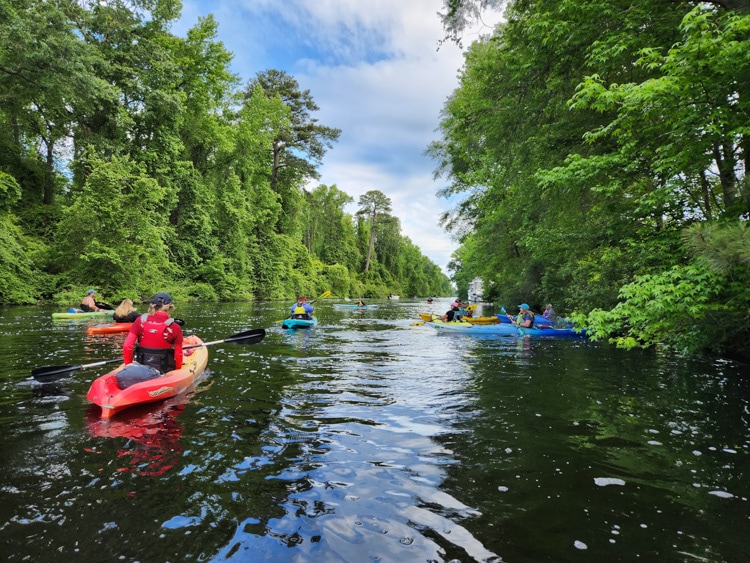 Dismal Swamp kayakers