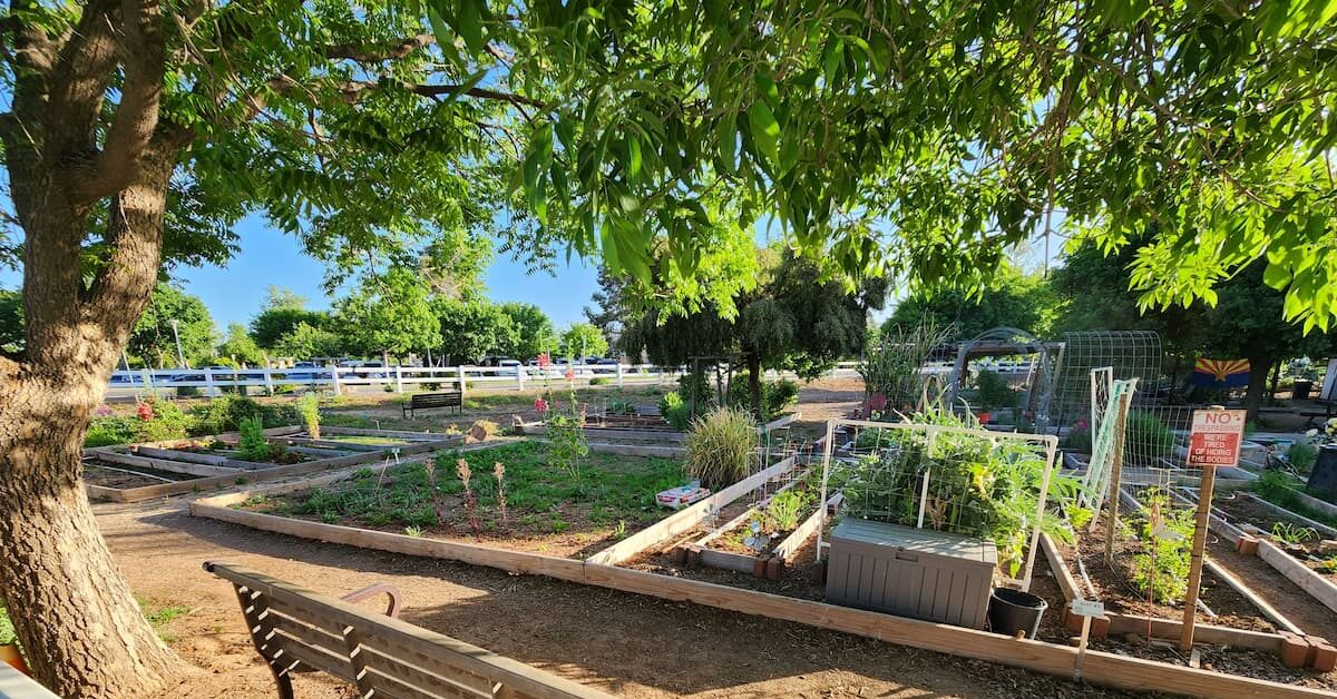Gardens in Mesa. Photo by Carrie Dow