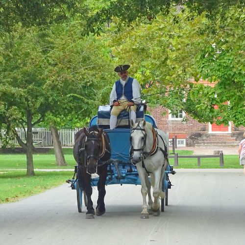 carriage rides are popular in Colonial Williamsburg