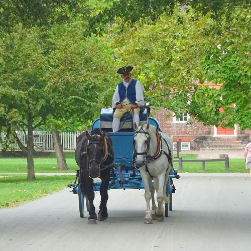 carriage rides are popular in Colonial Williamsburg
