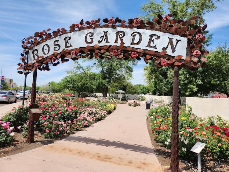 Rose Garden in Mesa. Photo by Carrie Dow