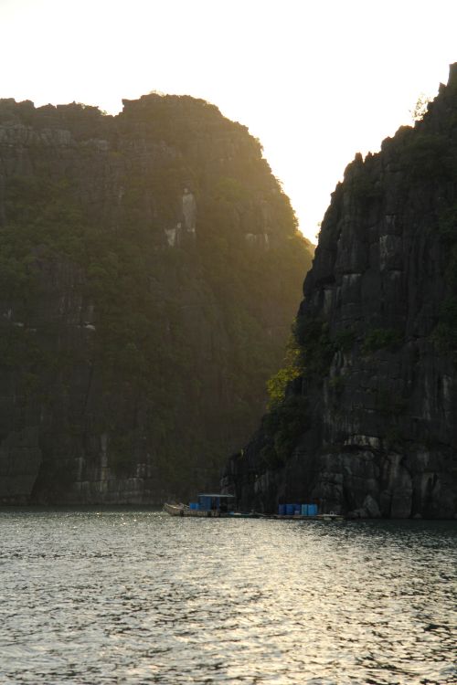 Giant limestone mountains erupt from the seabeds in Cat Hai. Photo by Georgia Carter