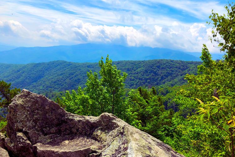 stunning view in Great Smoky Mountains National 