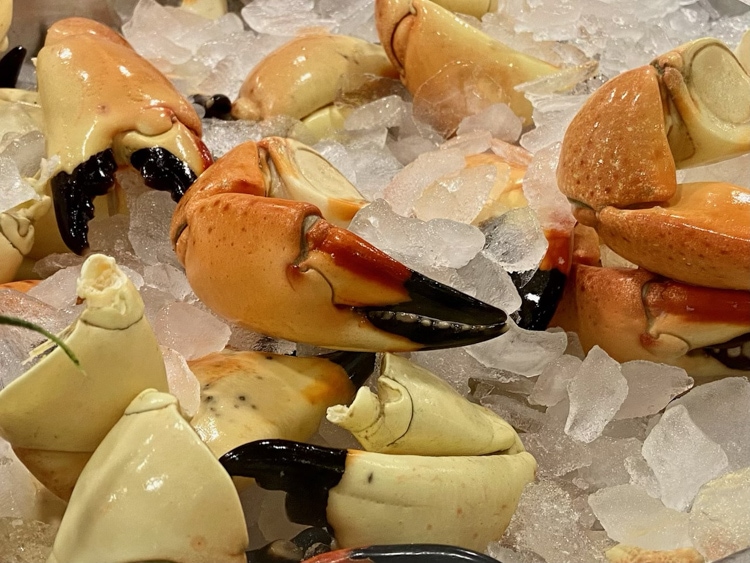 Stone crab claws cracked