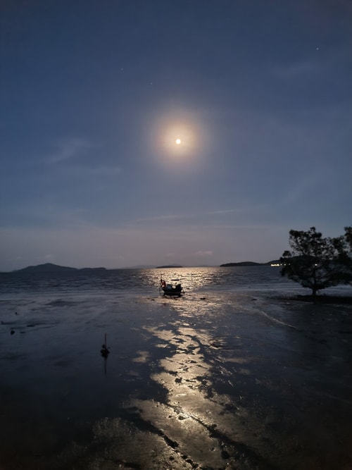 Moonlight over Old Town bay