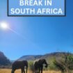 SOUTH AFRICA Beach and Bush Break