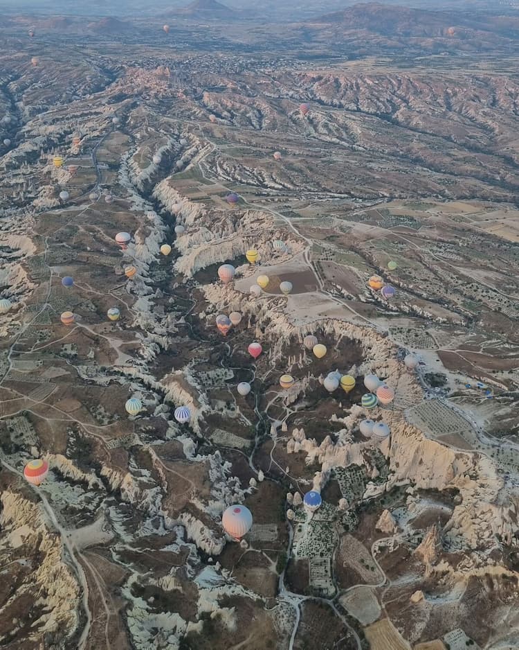 The hot air balloons from above. Photo by Lucy Arundell