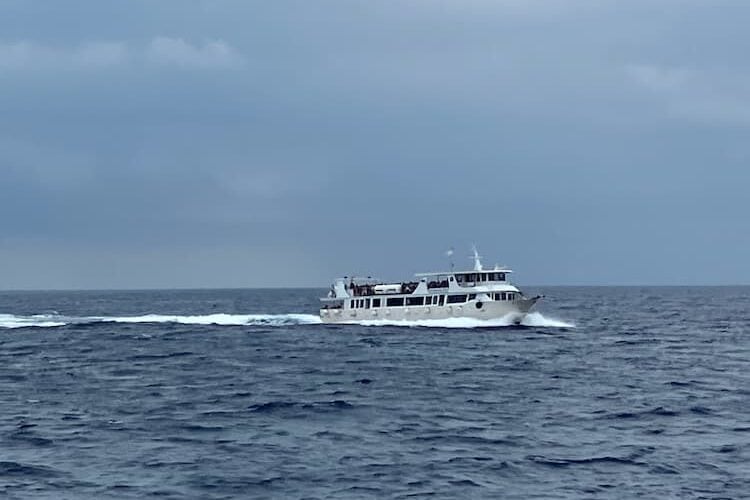 Ferry that transports visitors between Cinque Terre towns. Photo by Mari S. Gold