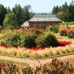 Part of Biltmore’s 8,000 acres are comprised of six formal and informal gardens and a Conservatory. Photo by Frank Hosek