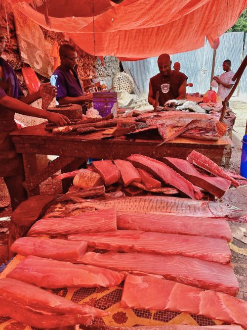 The Darajani fish market