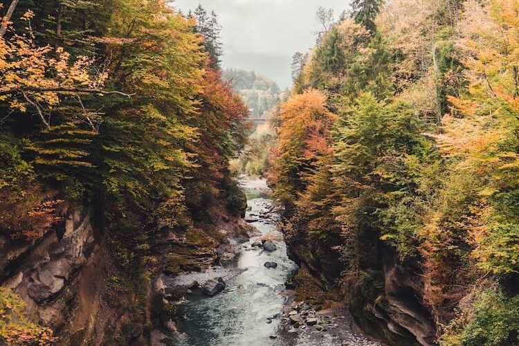 Thun in Switzerland. Photo by Janis Fasel, Unsplash