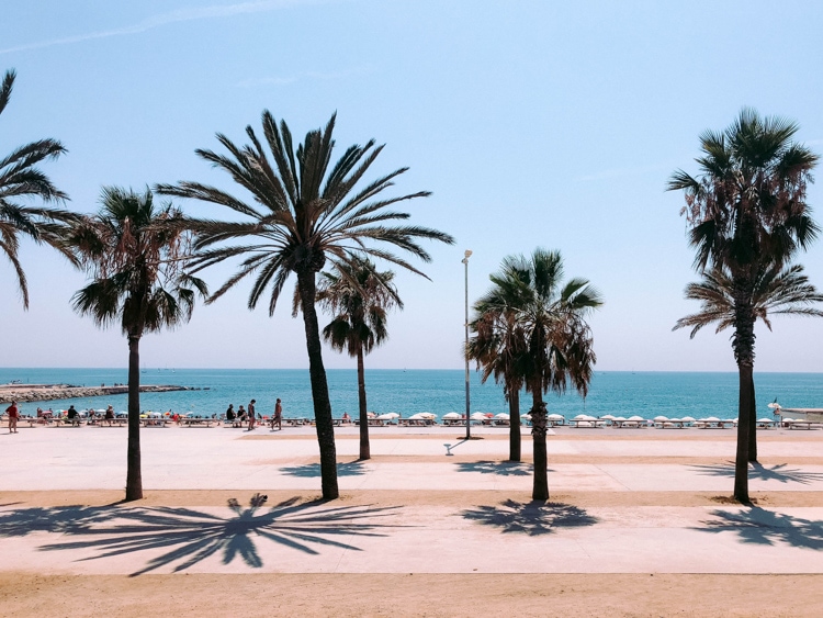  Barceloneta in Barcelona