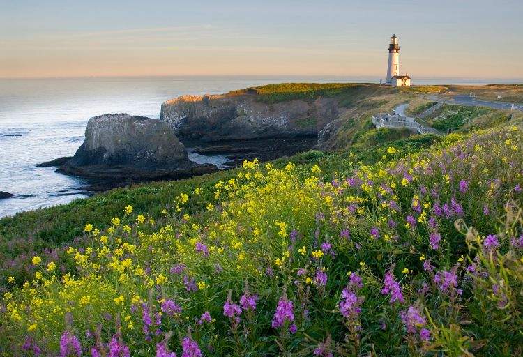 Beautiful view of Yaquina Head Lighthouse. Photo by iStock
