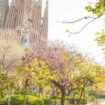 Blooming spring garden in Barcelona, Spain city centre, Pinterest. Photo by arcady_31, iStock