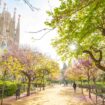Blooming spring garden in Barcelona, Spain city centre. Photo by arcady_31, iStock